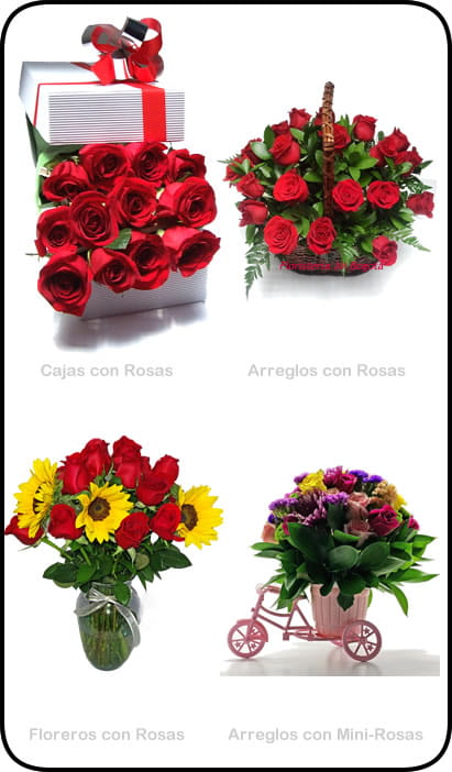 La Flor Mas Vendida de Bogotá es la Rosa