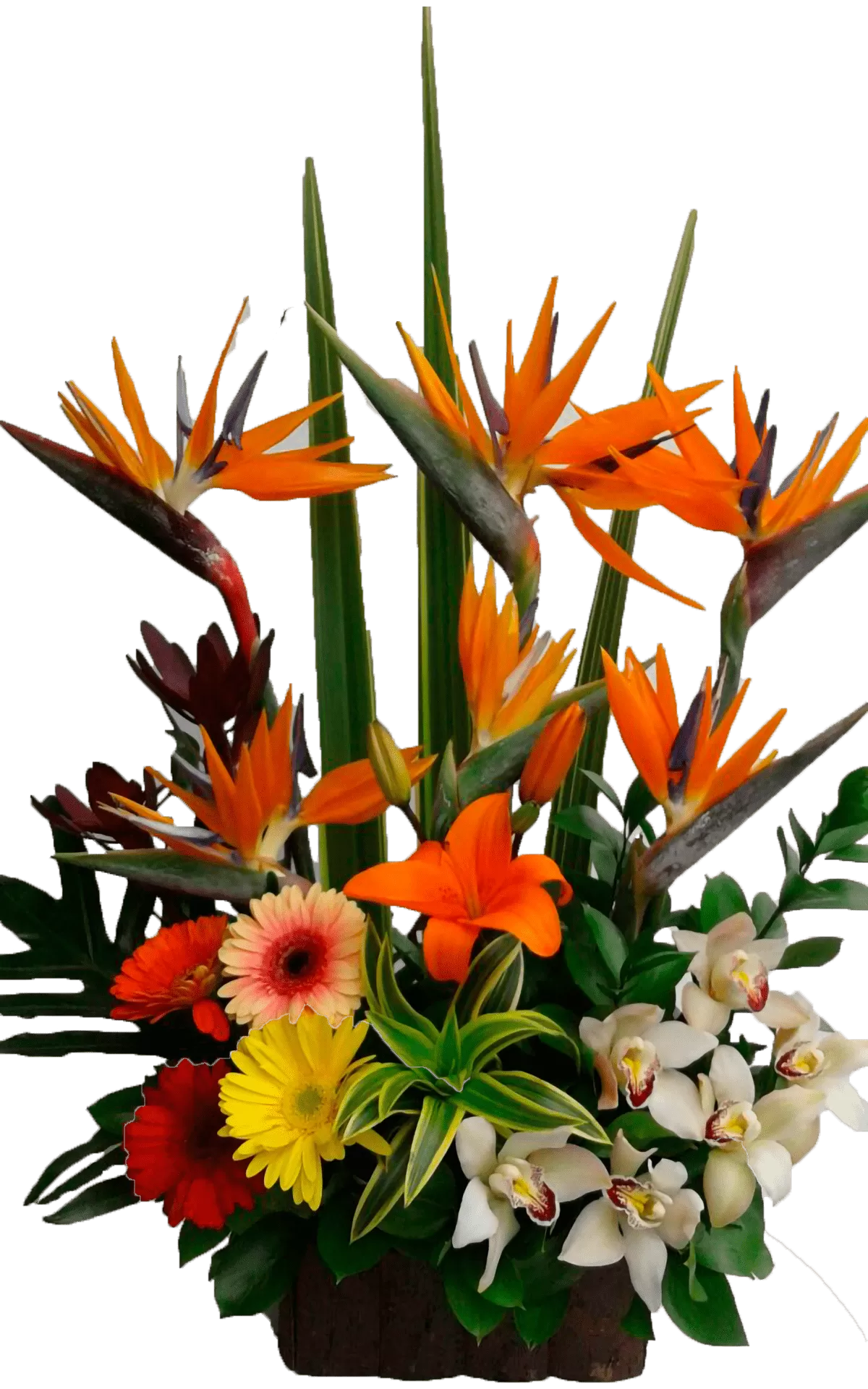 Arreglo Floral con Orquideas, Lirios, Gerberas y Ave Envio Bogota