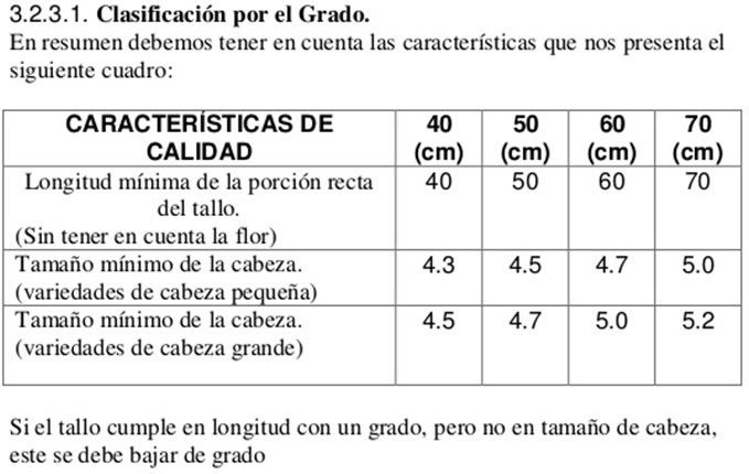 Cuadro de Grados en Rosas Tipo Exportación en Bogota