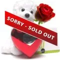 Oso con Corazón y Rosa entrega el Mensaje