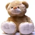 Oso Grande venta Online Bogota