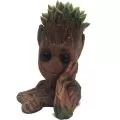 Groot Maceta con Suculenta, vista frontal