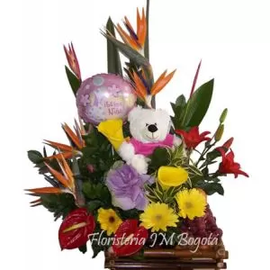 Flores Frutas Oso Globo Nacimiento Niña Bogotá