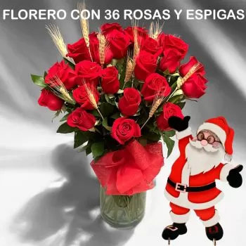 36 rosas y espigas para entregar en Bogotá