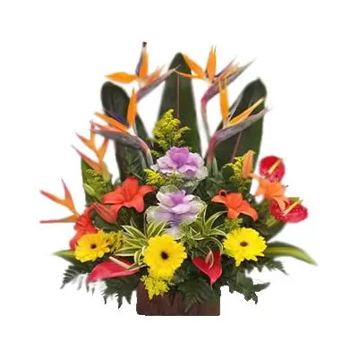 Arreglos Florales Exoticos Bogota a Domicilio