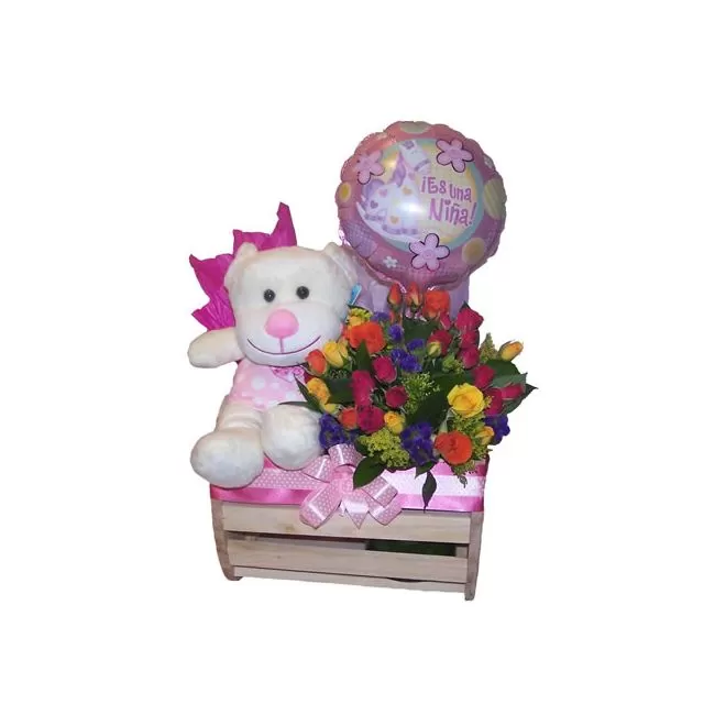 Regalos Bebé Niña Recién Nacida- Bogota