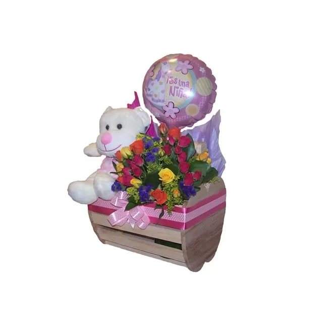 Regalos Bebe Niña Recien Nacida- Bogota (Vista Lateral)