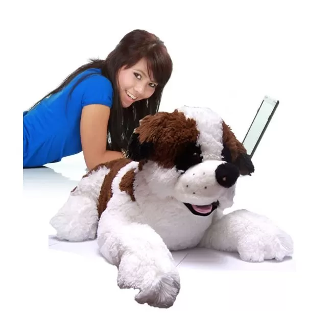Perro San Bernardo Domicilio Bogota