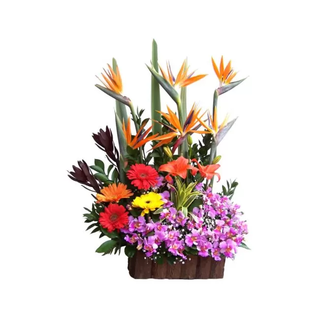 Arreglo Floral con Orquideas, Lirios, Gerberas y Ave Envio Bogota