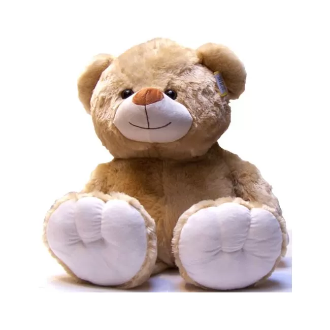 Oso Grande venta Online Bogota