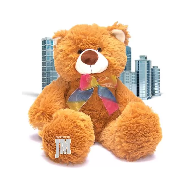 Teddy Bear 18 inches . Bogota Colombia Delivery