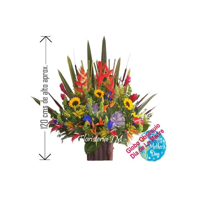 Flores Exoticas Colombianas Envio Bogota Flores Exoticas Colombianas Envio Bogota