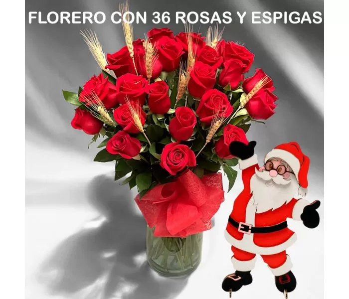 36 rosas y espigas para entregar en Bogotá 36 rosas y espigas para entregar en Bogotá